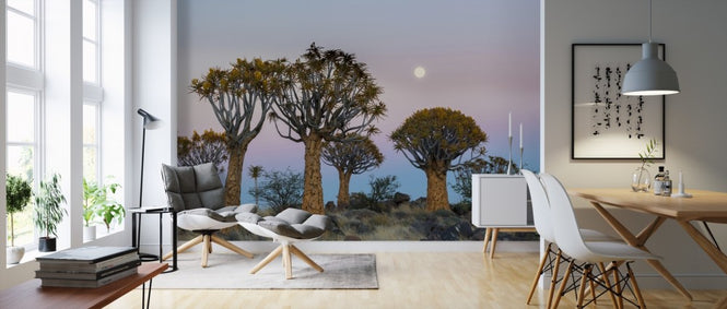 PHOTOWALL / Quiver Trees and the Moon (e310387)