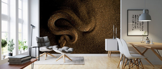 PHOTOWALL / Peringuey's Adder (e310407)