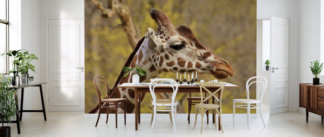 PHOTOWALL / Giraffe (e310615)