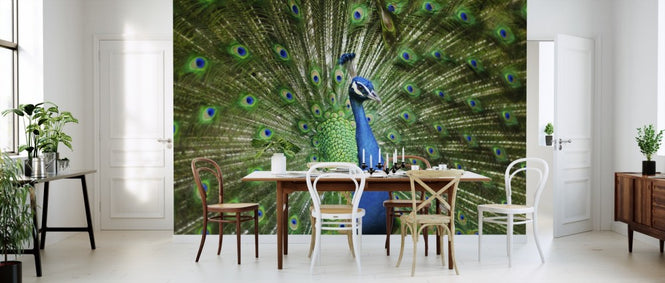 PHOTOWALL / Peacock Feathers (e310658)