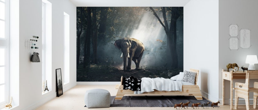 PHOTOWALL / Elephant in the Woods (e310663)