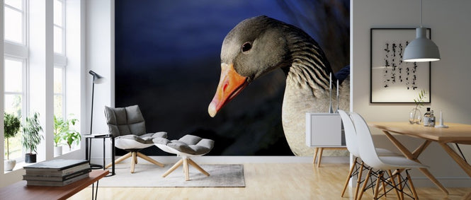 PHOTOWALL / Greylag Goose (e310632)