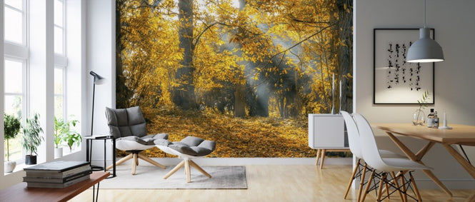 PHOTOWALL / Yellow Autumn Leaves (e310634)