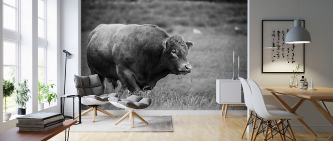 PHOTOWALL / The Bull (e310635)