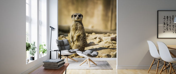 PHOTOWALL / Standing Meerkat (e310643)