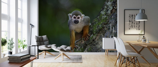 PHOTOWALL / Scented Monkey (e310650)