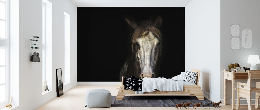 PHOTOWALL / Horse in the Dark (e310687)