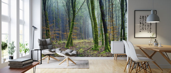PHOTOWALL / The Forest (e310690)