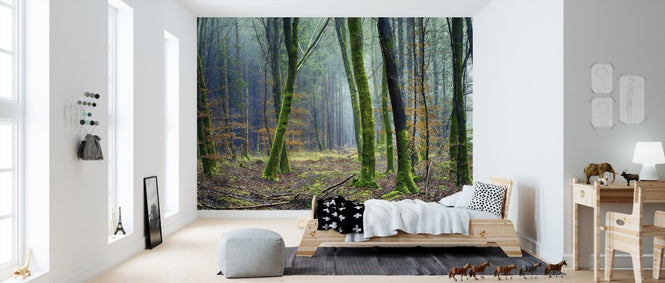 PHOTOWALL / The Forest (e310690)