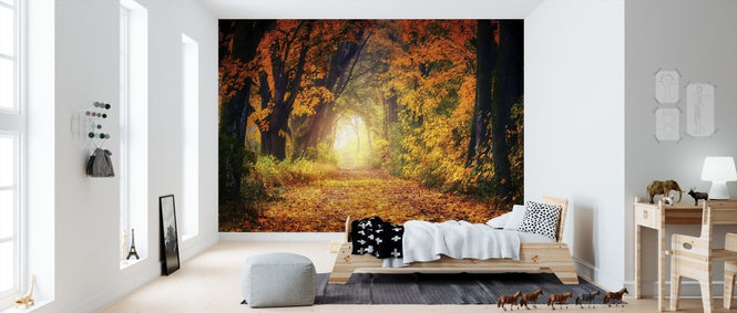 PHOTOWALL / Forest Path (e310761)