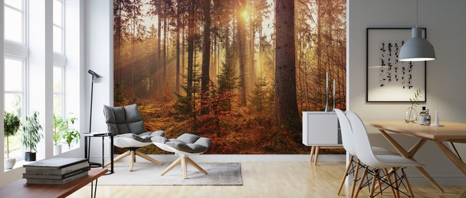PHOTOWALL / Autumn (e310762)