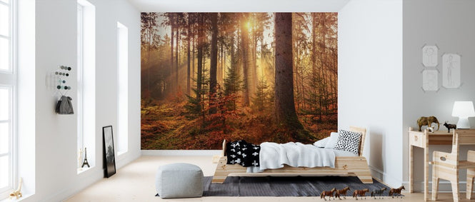 PHOTOWALL / Autumn (e310762)