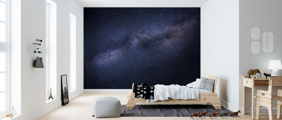 PHOTOWALL / Milky Way Skyscape (e310772)