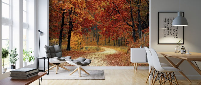 PHOTOWALL / Woods Pathway (e310793)