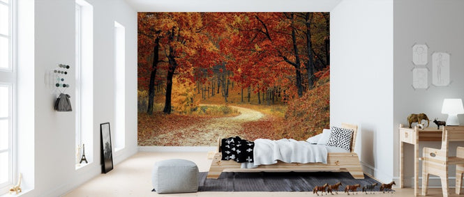 PHOTOWALL / Woods Pathway (e310793)