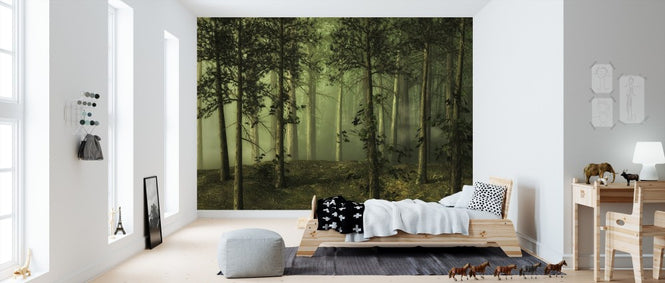 PHOTOWALL / Foggy Forest (e310794)