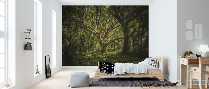 PHOTOWALL / Big Tree (e310807)
