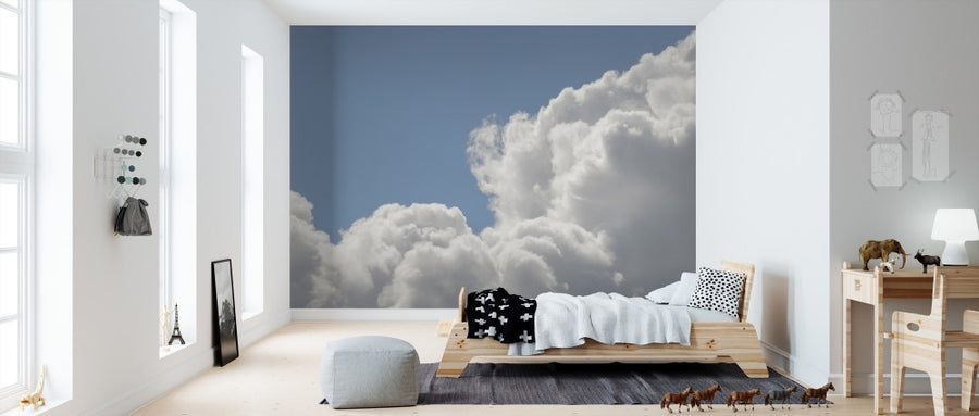 PHOTOWALL / Blush Clouds (e310881)
