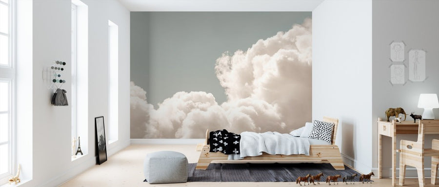 PHOTOWALL / Blush Clouds Daydream (e310882)