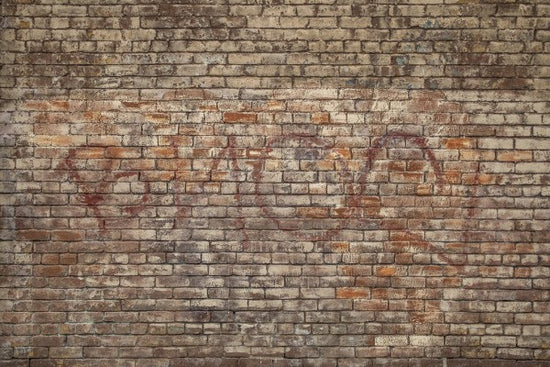 PHOTOWALL / Brick Wall Graffiti (e310829)