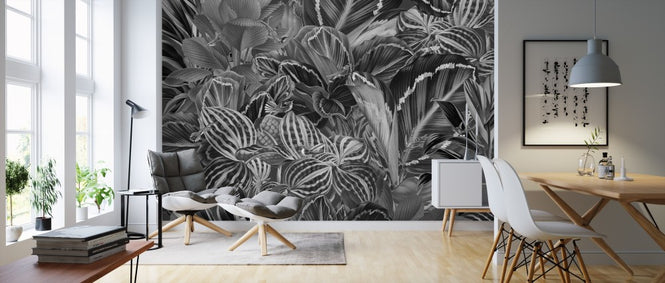 PHOTOWALL / Birds of Paradise (e310957)