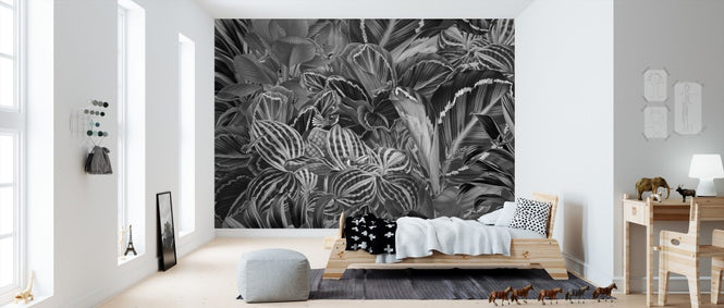 PHOTOWALL / Birds of Paradise (e310957)