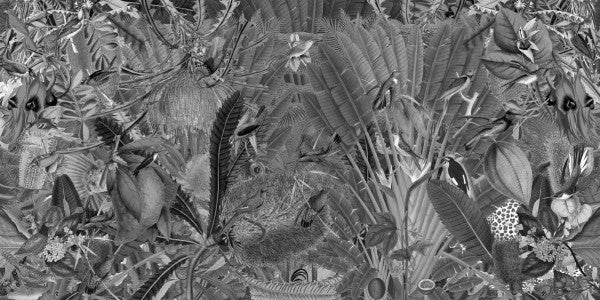 PHOTOWALL / Botanix (e310958)
