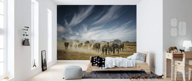 PHOTOWALL / A Very Long Thinking (e310965)