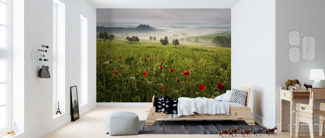 PHOTOWALL / Tuscan Spring (e310967)