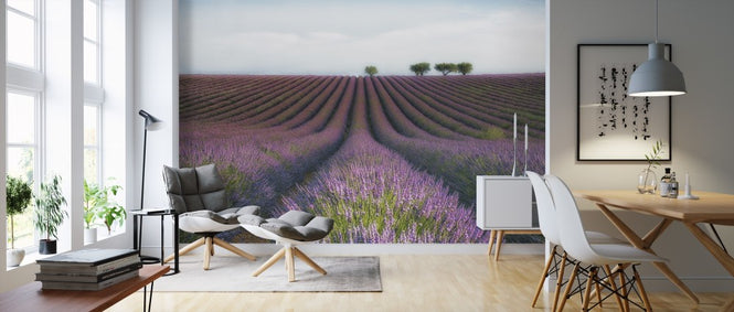 PHOTOWALL / Velours de Lavender (e310974)