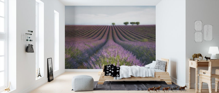 PHOTOWALL / Velours de Lavender (e310974)