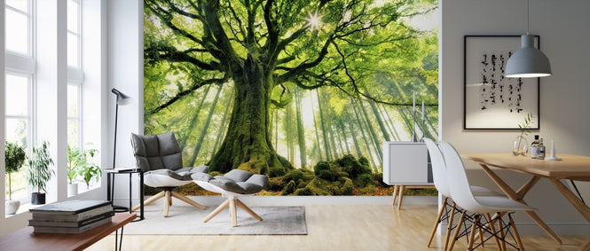PHOTOWALL / Ponthus Beech (e310982)