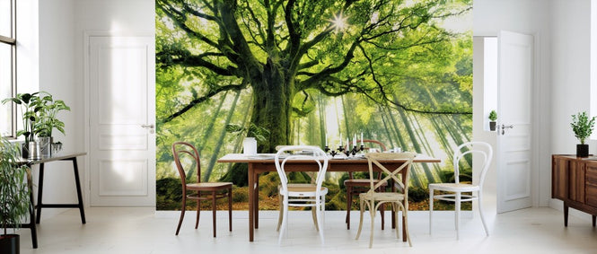 PHOTOWALL / Ponthus Beech (e310982)