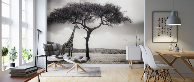 PHOTOWALL / Under the African Sun (e310986)