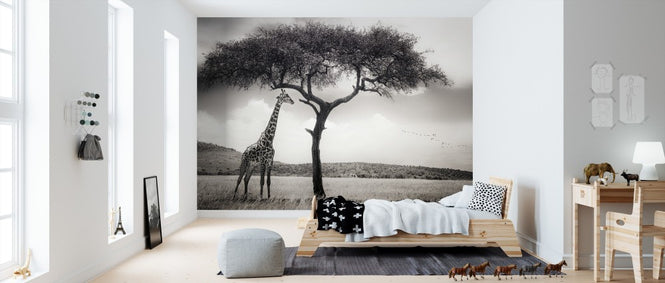 PHOTOWALL / Under the African Sun (e310986)