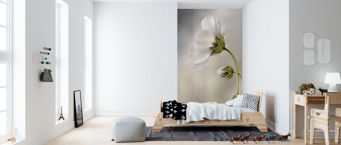 PHOTOWALL / Heavenly Cosmos (e310993)