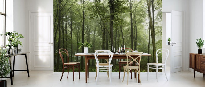 PHOTOWALL / Forest (e311024)