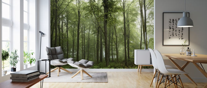 PHOTOWALL / Forest (e311024)