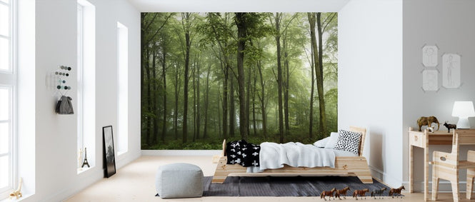 PHOTOWALL / Forest (e311024)