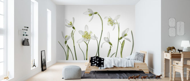 PHOTOWALL / Spring Snowdrops (e311032)