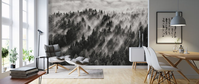 PHOTOWALL / Sundance No.1 (e311034)
