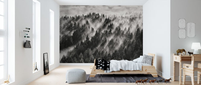 PHOTOWALL / Sundance No.1 (e311034)