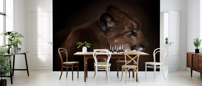 PHOTOWALL / Puma (e311041)