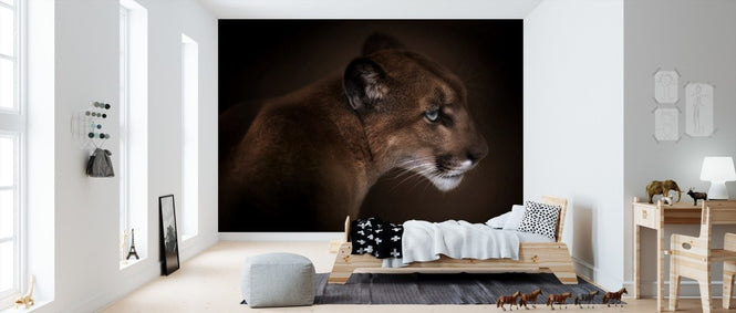 PHOTOWALL / Puma (e311041)
