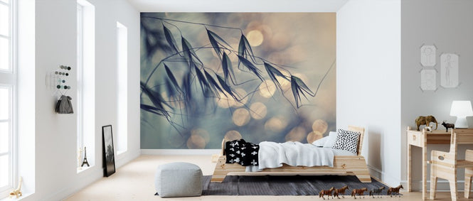 PHOTOWALL / Untitled (e311046)