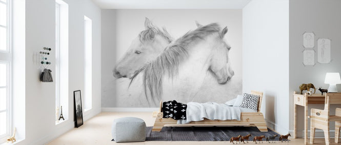PHOTOWALL / Horses (e311047)