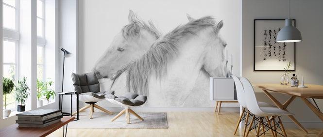 PHOTOWALL / Horses (e311047)