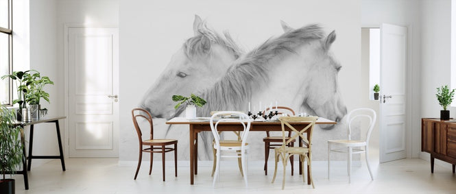 PHOTOWALL / Horses (e311047)