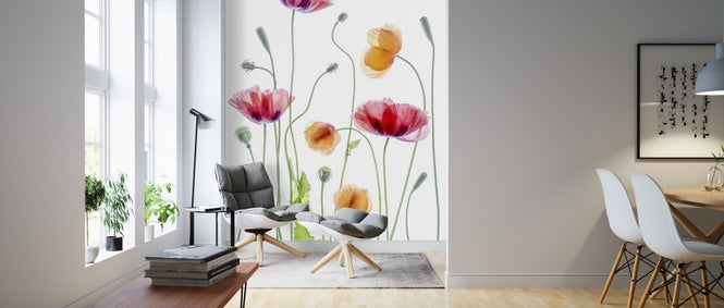 PHOTOWALL / Poppies (e311048)