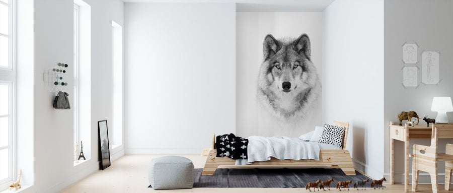 PHOTOWALL / Portrait of a Timber Wolf (e311064)